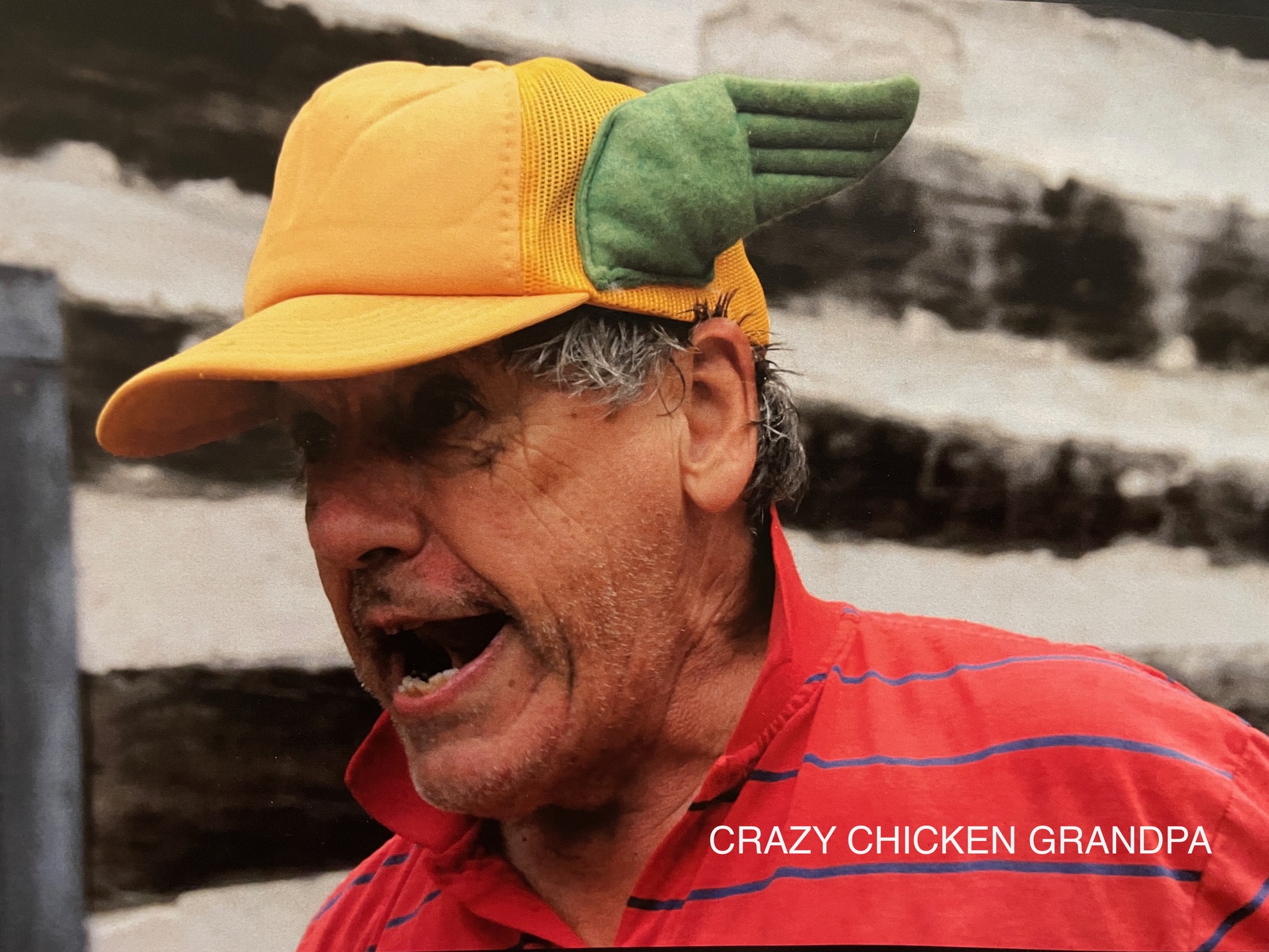 Dad Photo - Green Wings